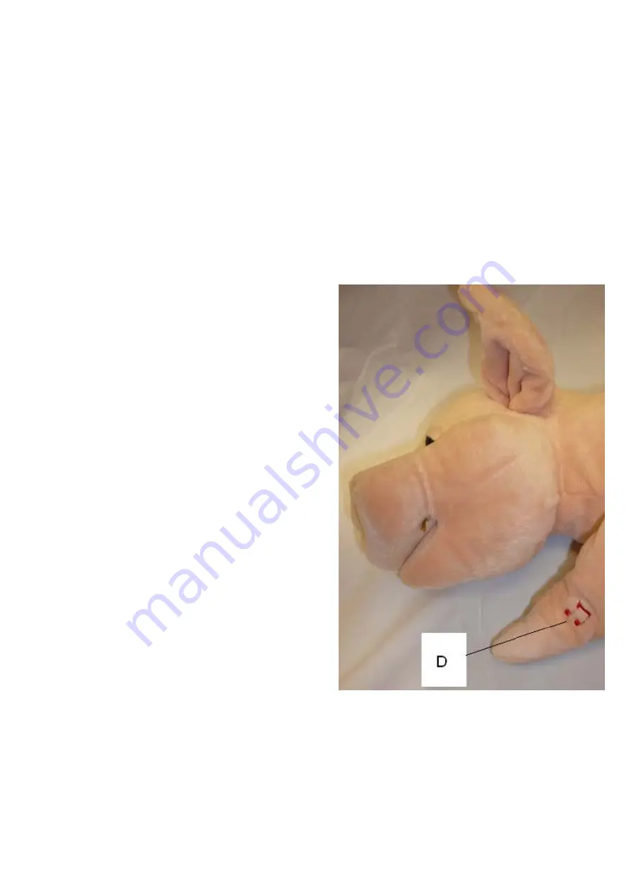 Rompa SNORING PIG Manual Download Page 6