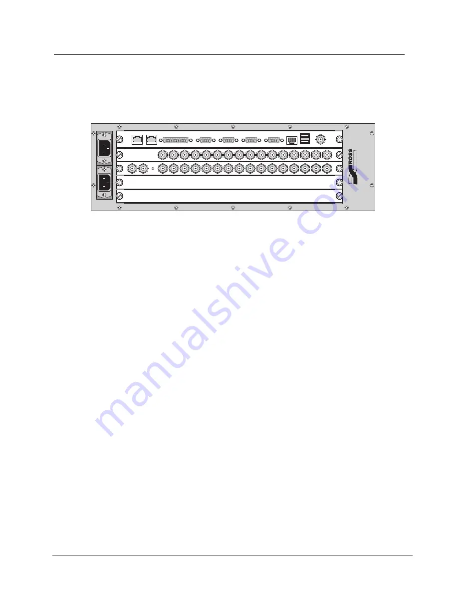 Ross Synergy MD Скачать руководство пользователя страница 119