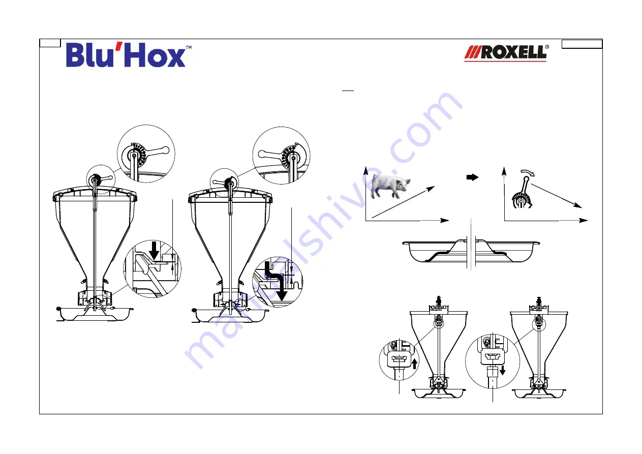 Roxell Blu'Hox Скачать руководство пользователя страница 7