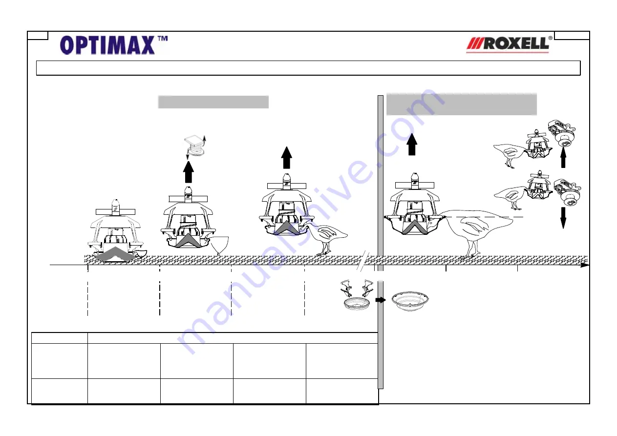 Roxell Optimax Скачать руководство пользователя страница 19