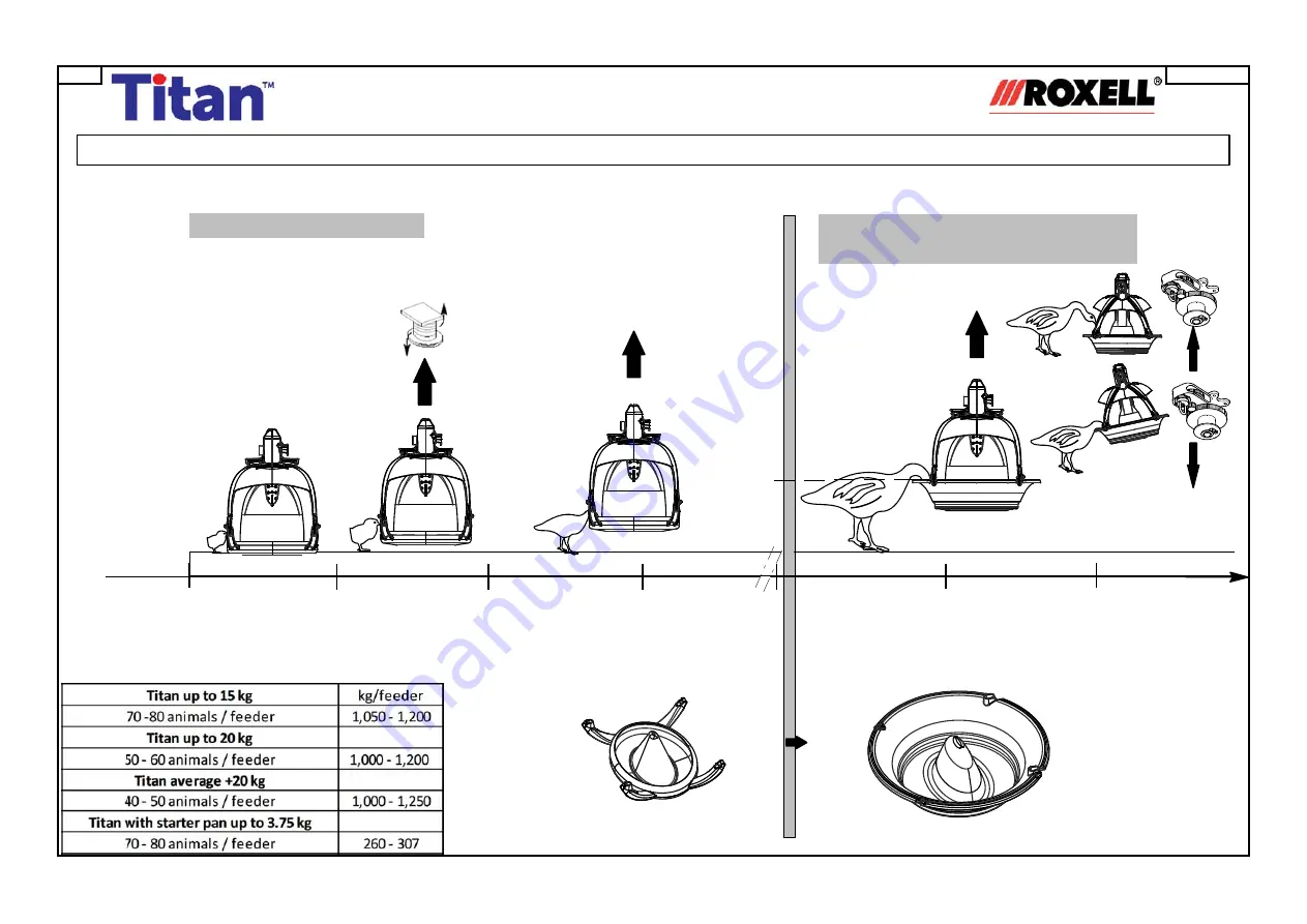 Roxell Titan Скачать руководство пользователя страница 8