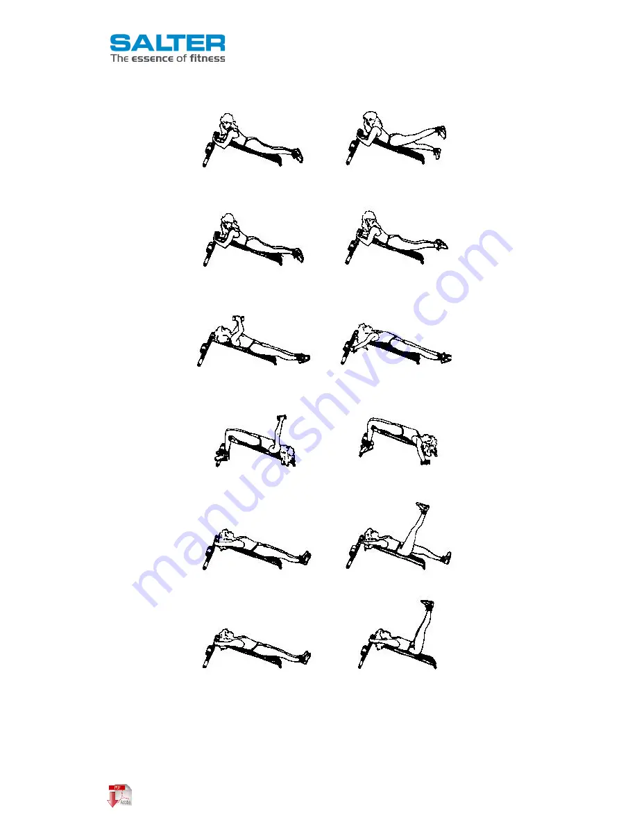 Salter PT-1501 User Manual Download Page 5