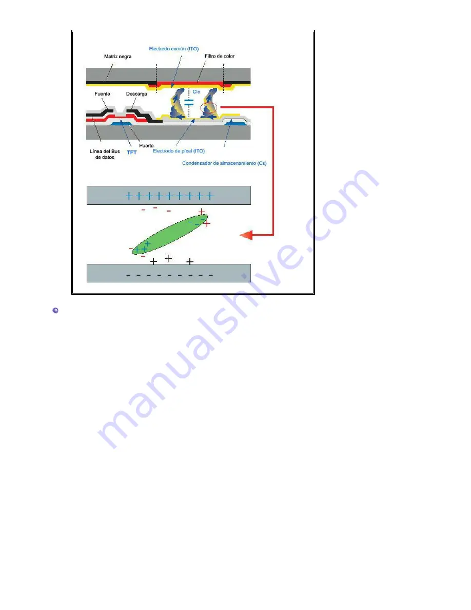 Samsung 2032NW - SyncMaster - 20