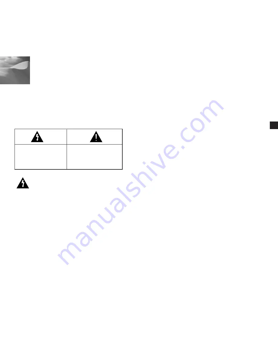 Samsung C4203(P) Owner'S Instructions Manual Download Page 2