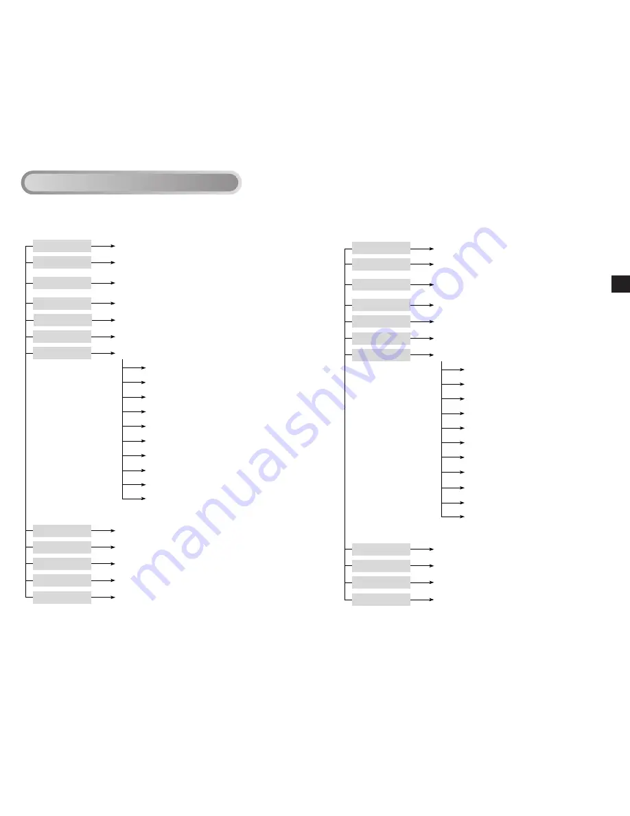 Samsung C4203(P) Owner'S Instructions Manual Download Page 8