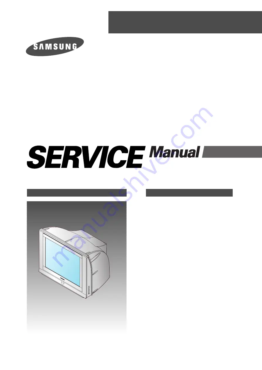 Samsung CS29Z6HPGX/BWT Service Manual Download Page 1