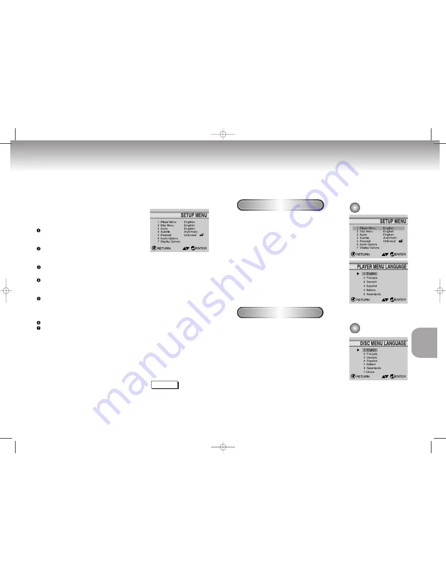 Samsung DVD-S1000 User Manual Download Page 17