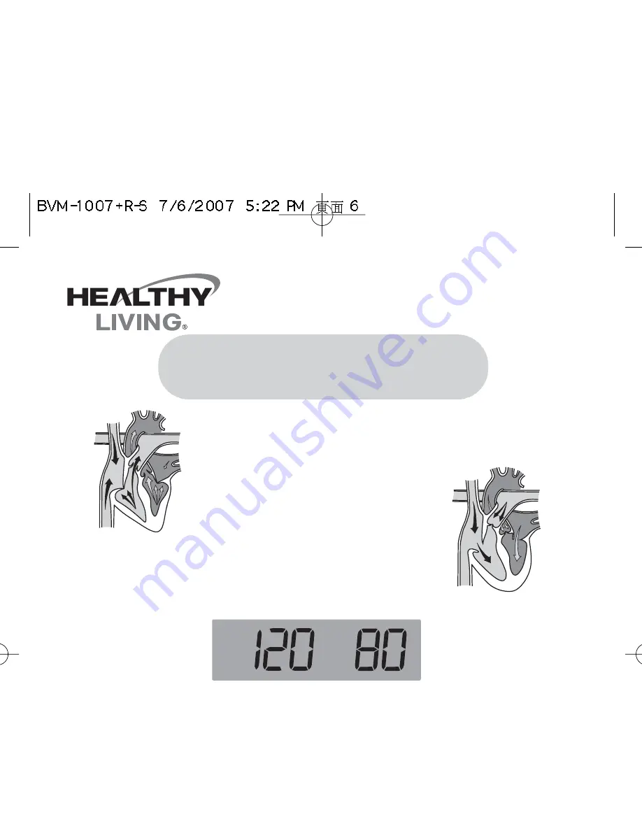 Samsung Healthy Living BVM-1007 Скачать руководство пользователя страница 39