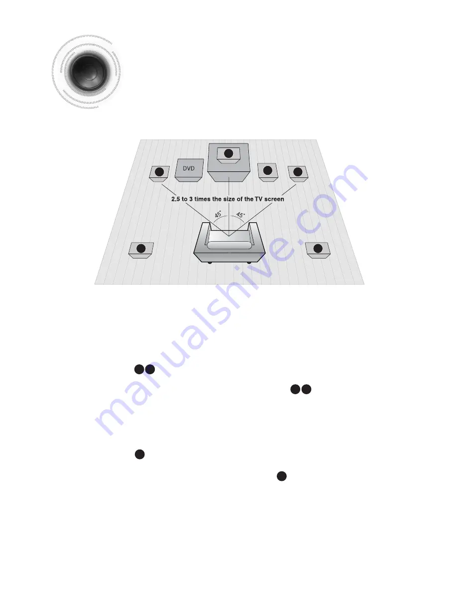 Samsung HT-DS490 Instruction Manual Download Page 12