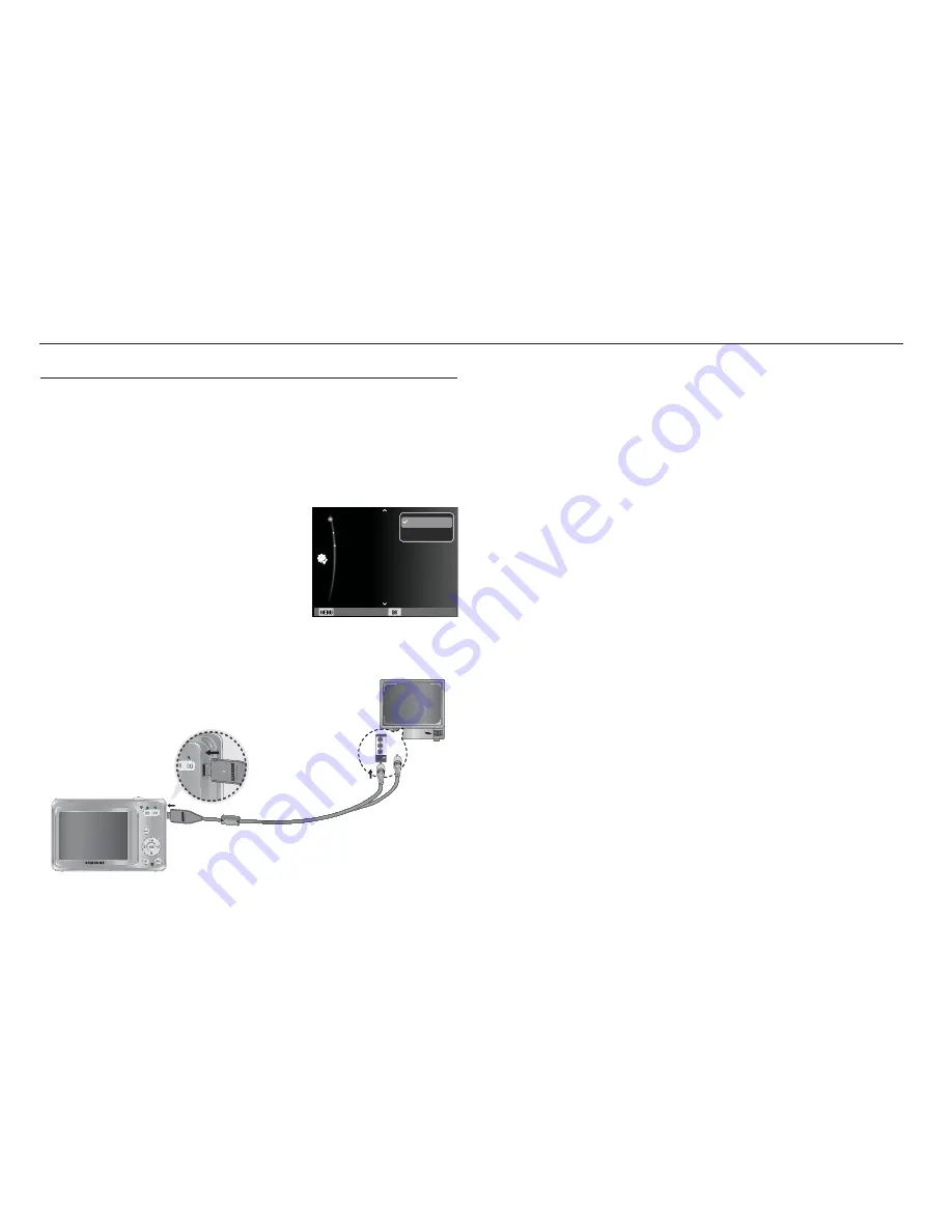 Samsung SL105 User Manual Download Page 53