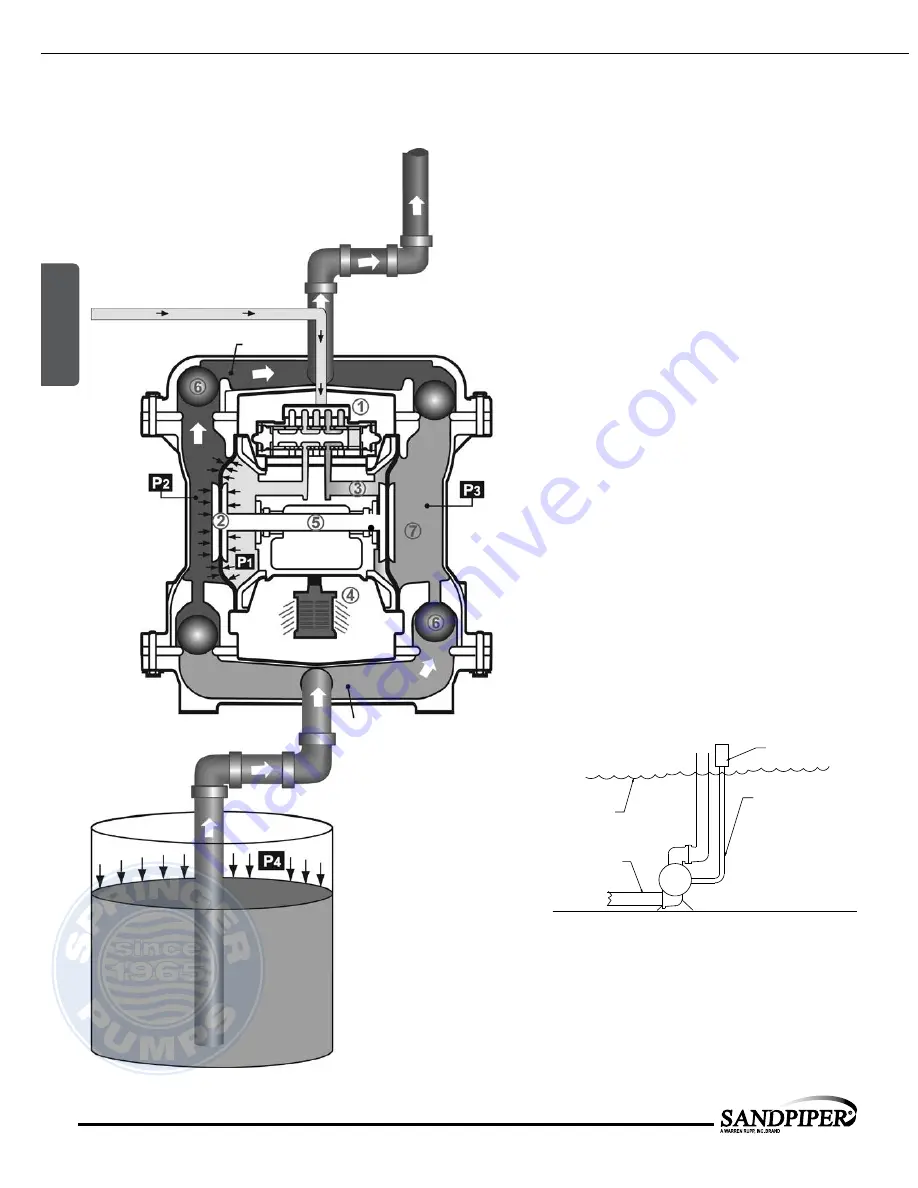 Sandpiper Signature HDB2 Service & Operating Manual Download Page 8