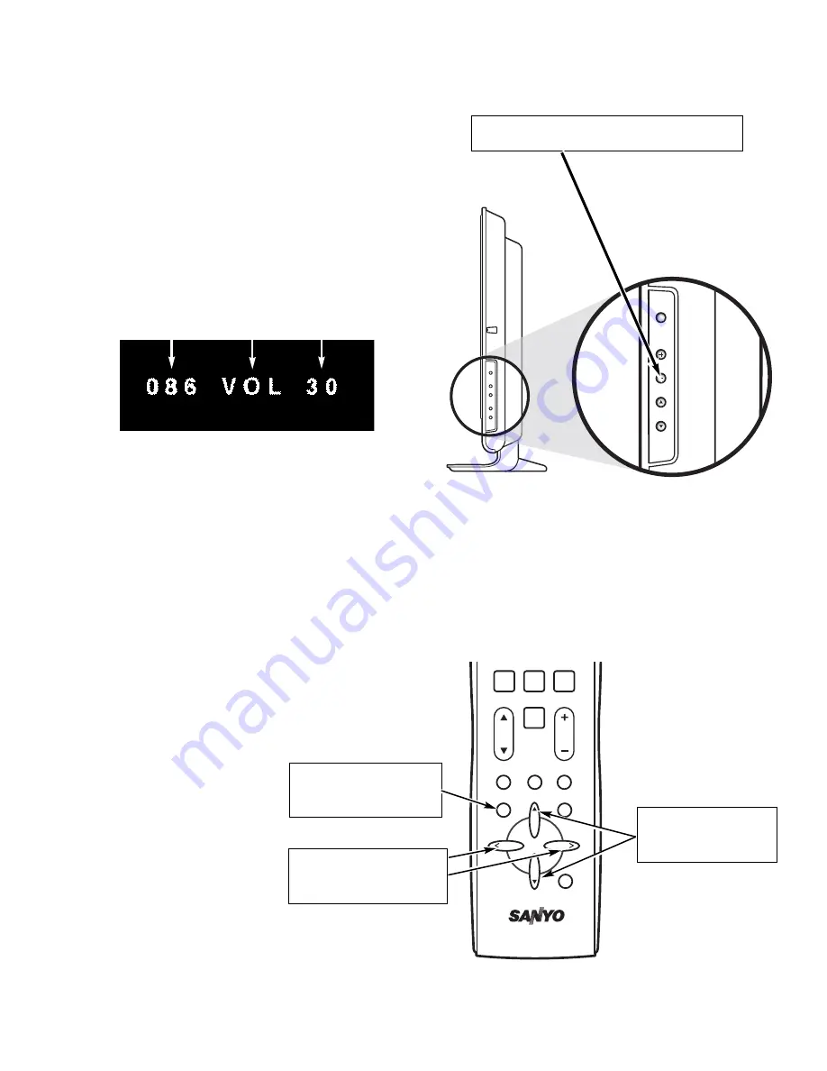 Sanyo DP37649 Скачать руководство пользователя страница 3