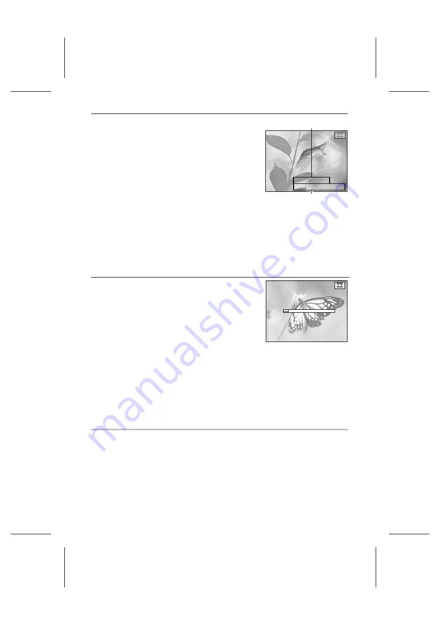 Sanyo IDC-1000ZE iDshot Instruction Manual Download Page 105