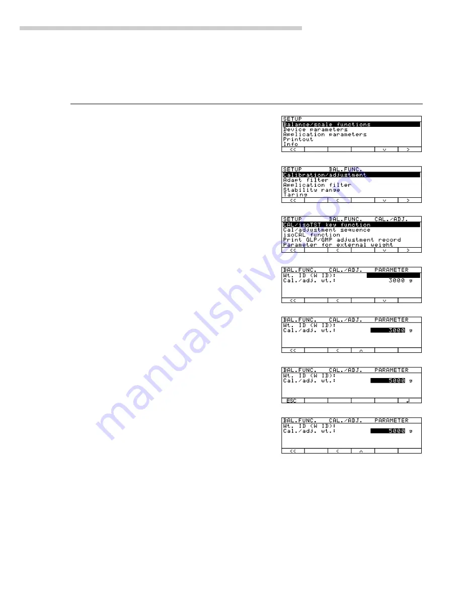 Sartorius Factory Series Operating Instructions Manual Download Page 77