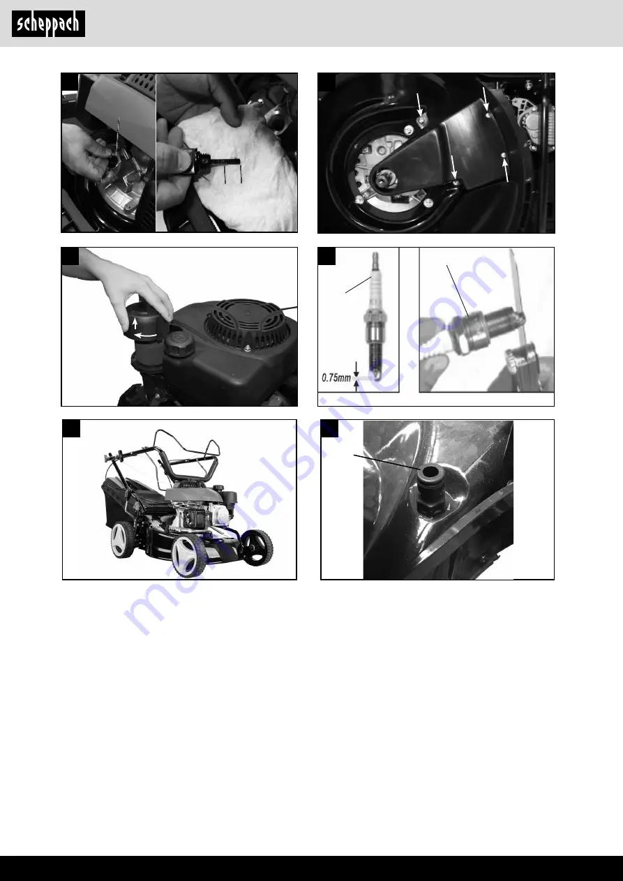 Scheppach 5911249903 Скачать руководство пользователя страница 6