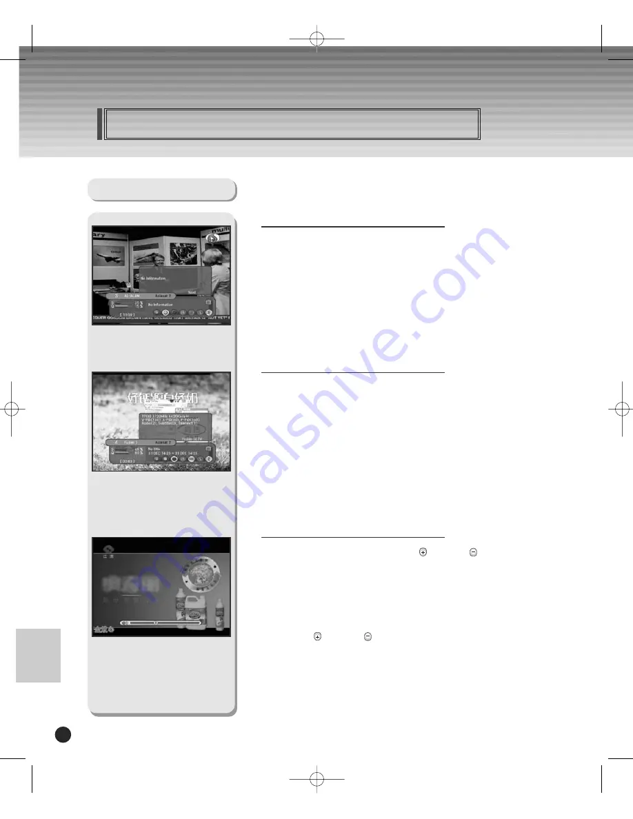 Schwaiger DSR 1004 CW User Manual Download Page 20