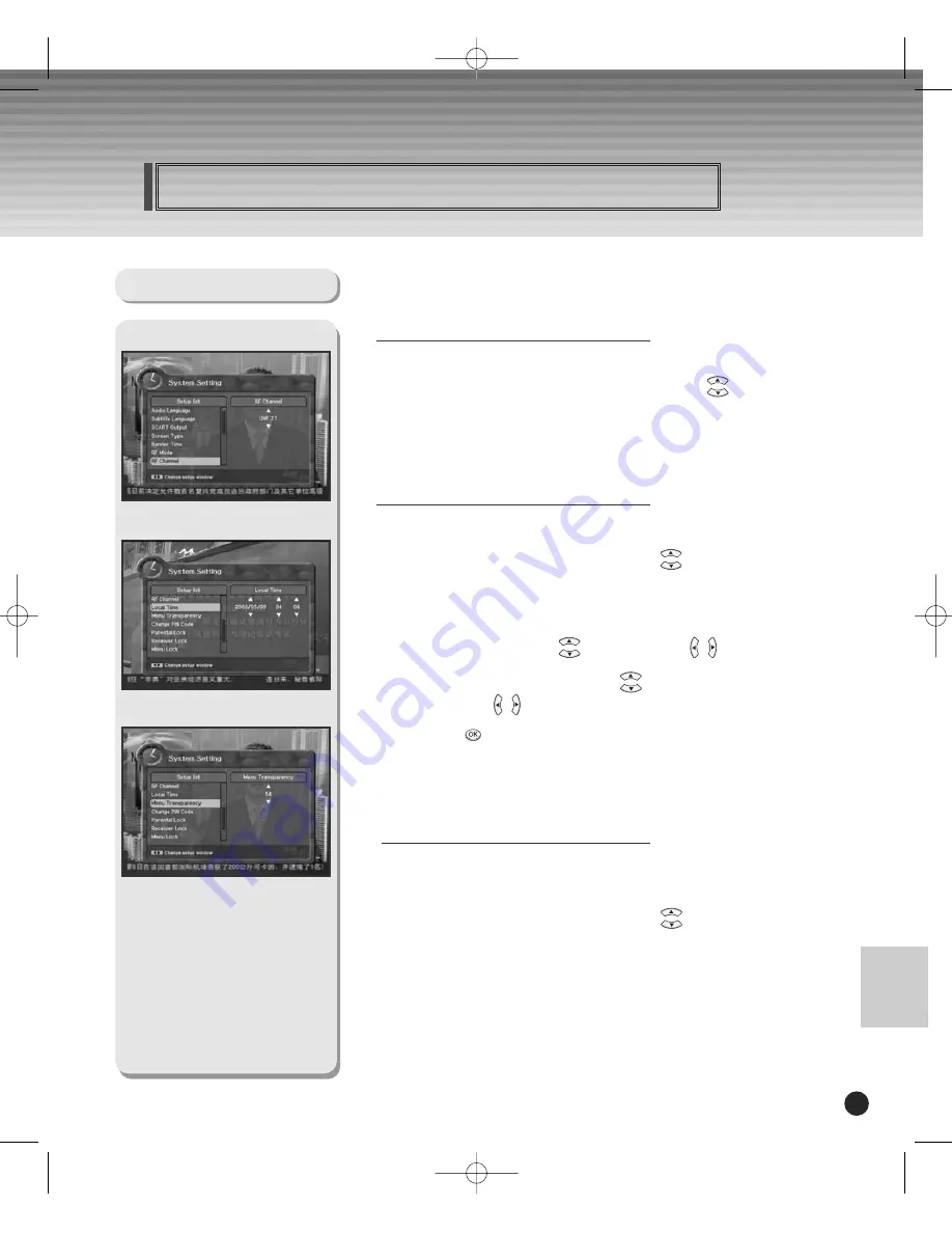 Schwaiger DSR 1004 CW Скачать руководство пользователя страница 43