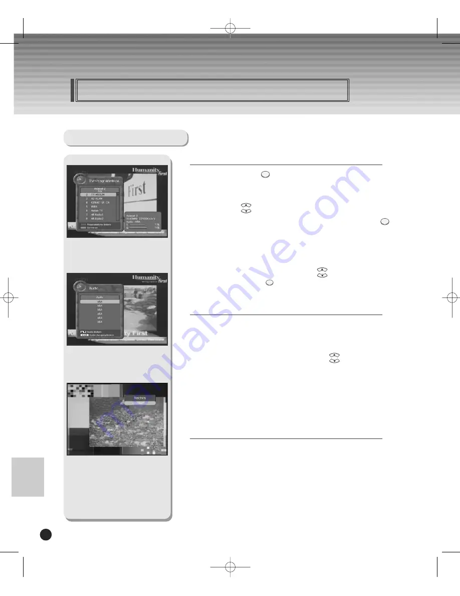 Schwaiger DSR 1004 CW Скачать руководство пользователя страница 74