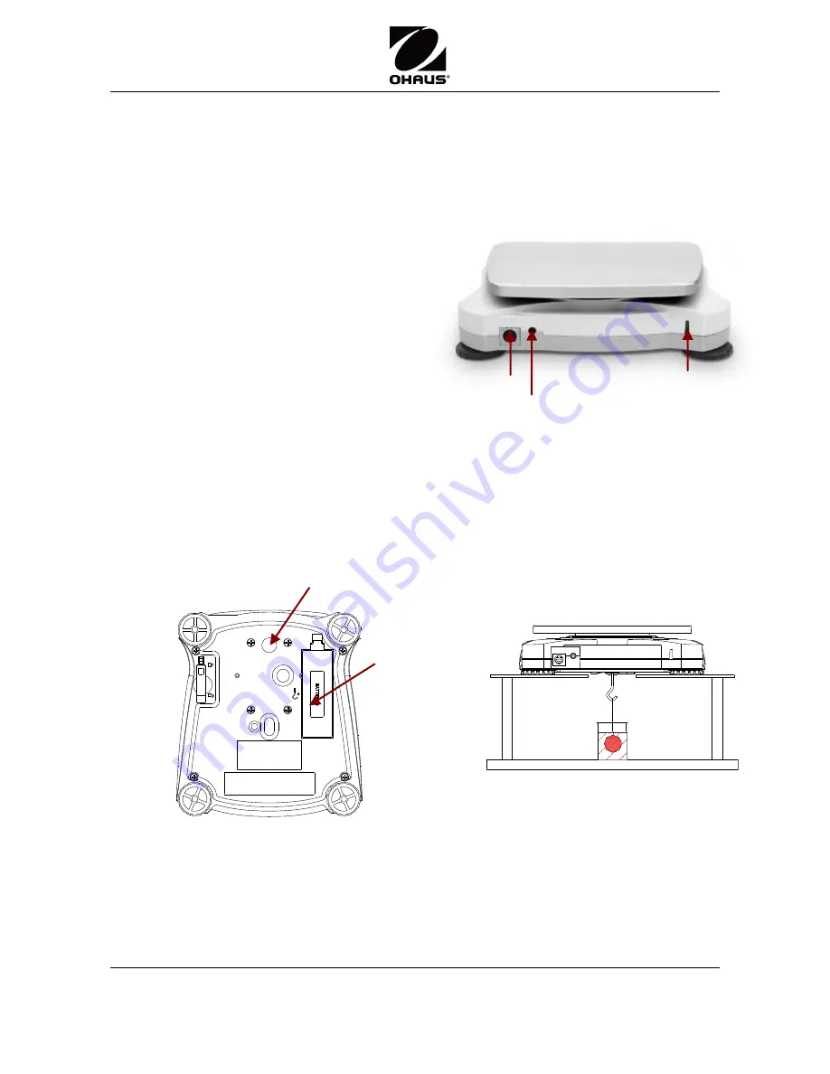 Scout SKX Quick Start Manual Download Page 12