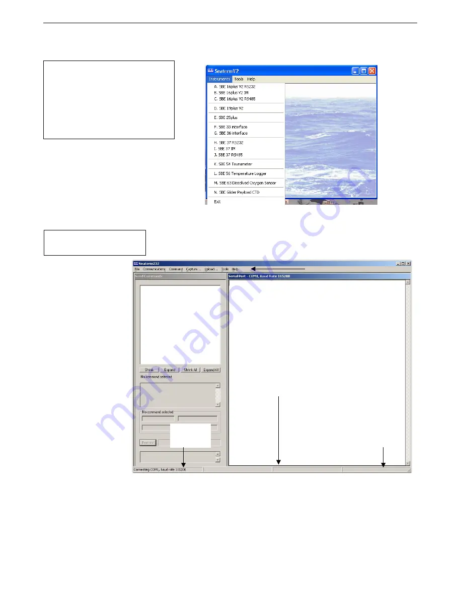 Sea-Bird Electronics SBE 63 User Manual Download Page 11