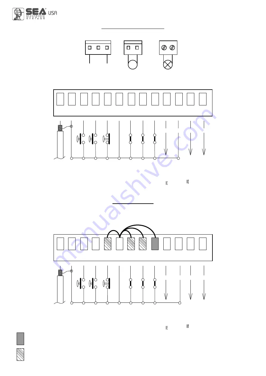 SEA USA USER 1 24V DG R1 Manual Download Page 5