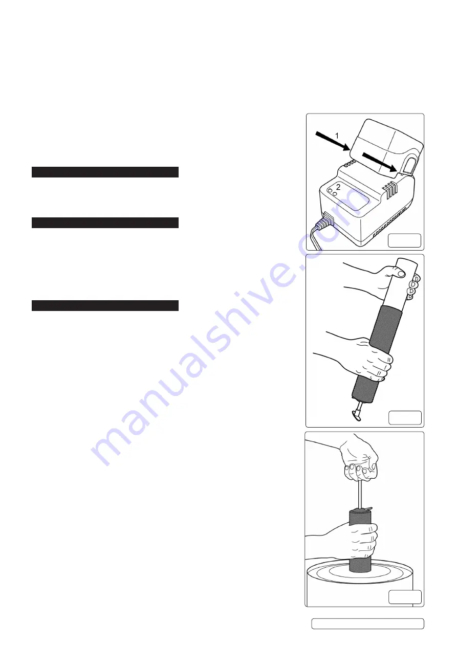 Sealey CPG12V.V4 Instructions Download Page 2