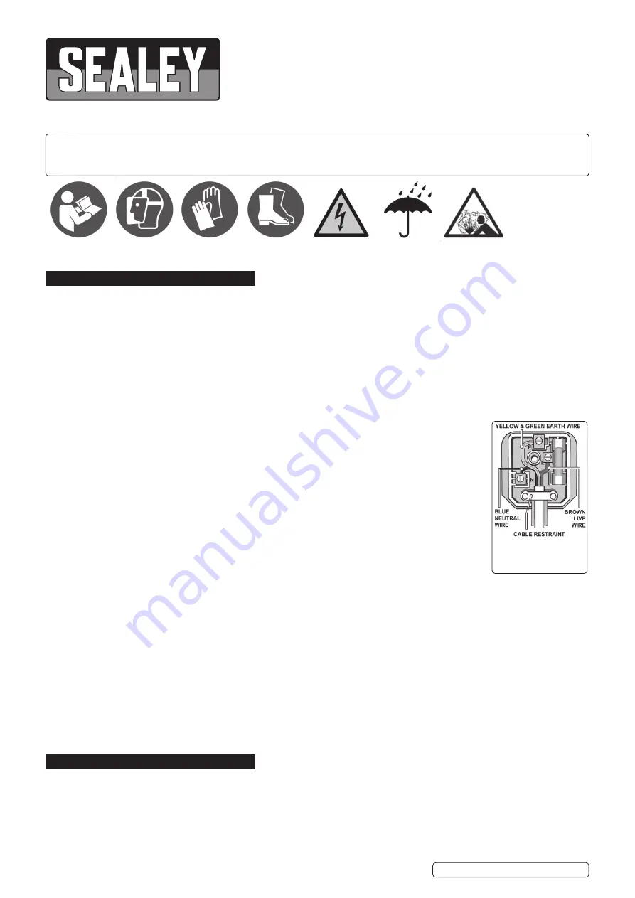 Sealey DPF1 Manual Download Page 1