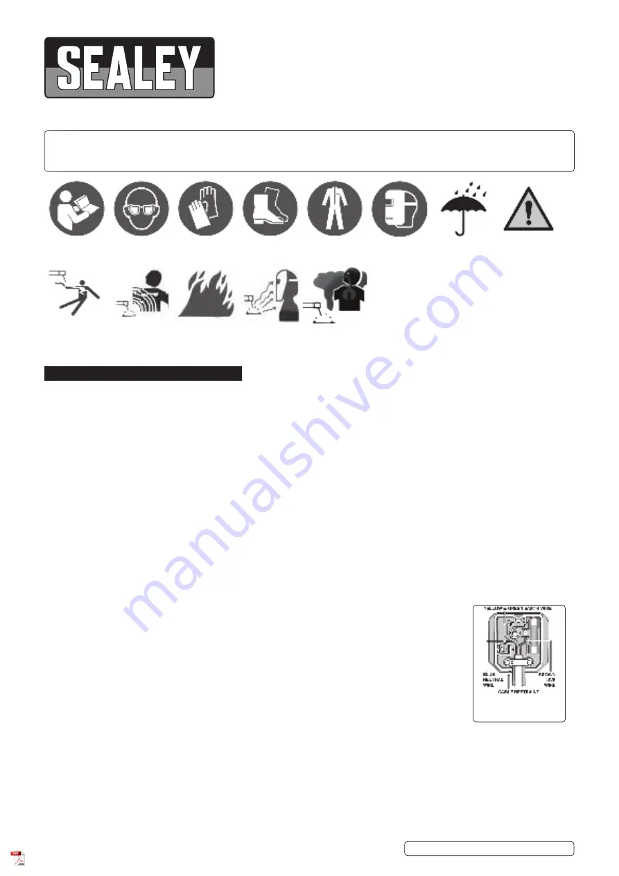 Sealey IMIG160.V2 Скачать руководство пользователя страница 1