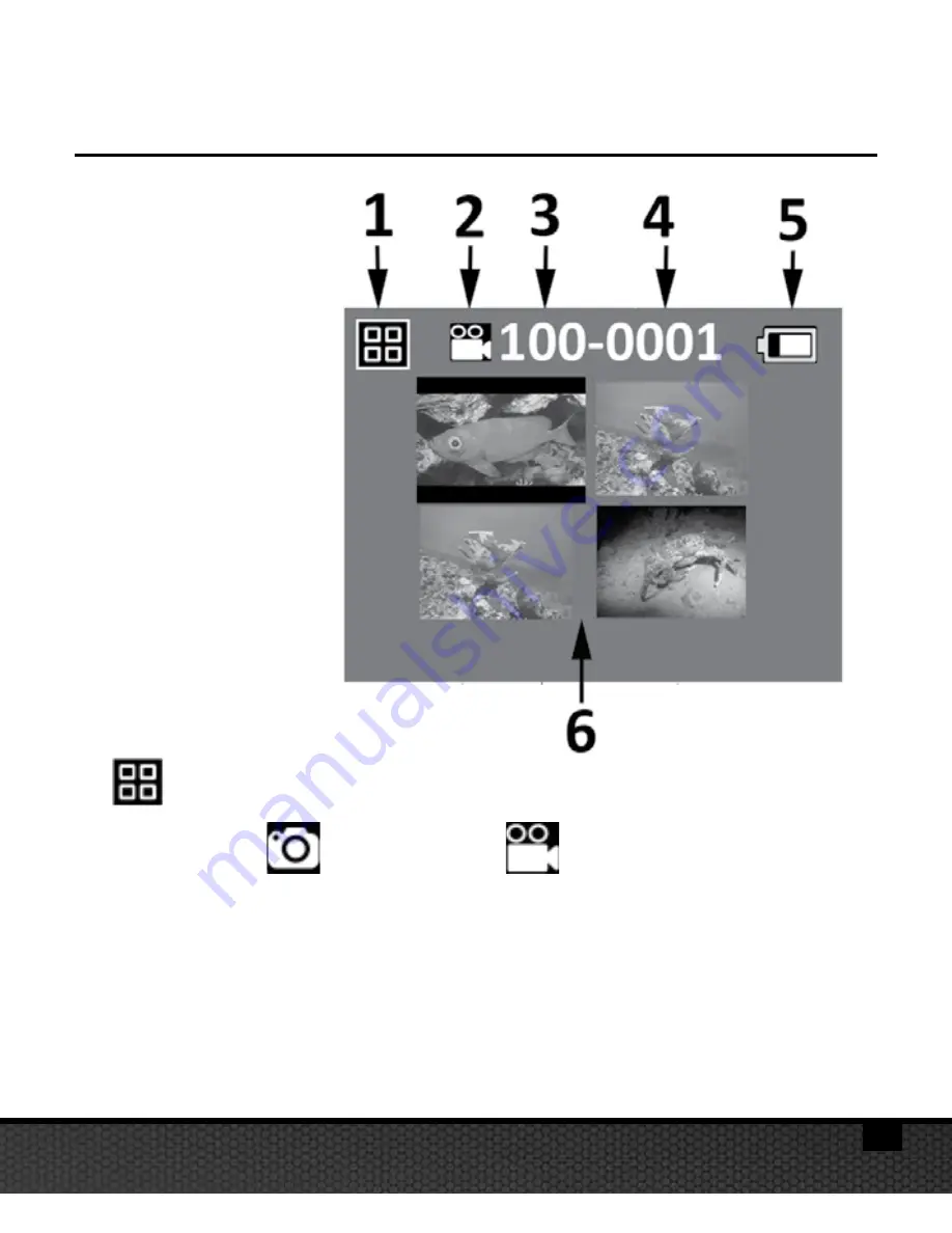 Sealife Micro 2.0 SL510 Instruction Manual Download Page 8