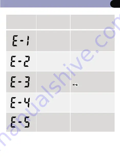 Sejoy BG-207b Owner'S Booklet Download Page 39