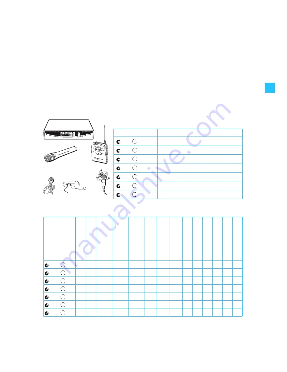 Sennheiser evolution wireless G2 300 IEM Series Instructions For Use Manual Download Page 50