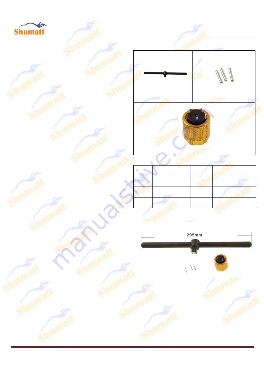 shumatt CRT067 Скачать руководство пользователя страница 3