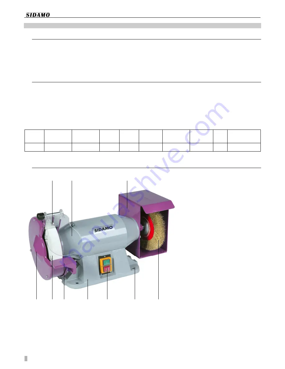 Sidamo TM 200 B Скачать руководство пользователя страница 6