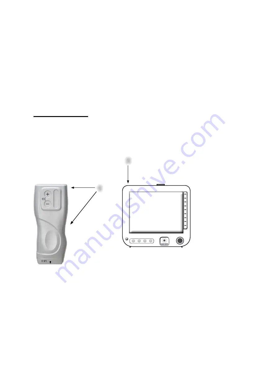 Siemens ACUSON Freestyle User Manual Download Page 111