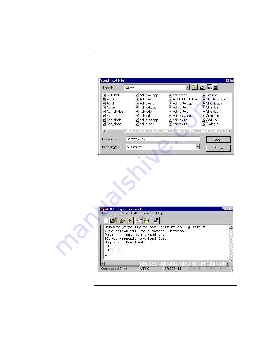 Siemens Advance Network Gateway User Manual Download Page 52