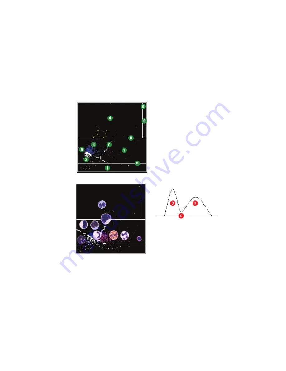 Siemens ADVIA 2120 Operator'S Manual Download Page 276