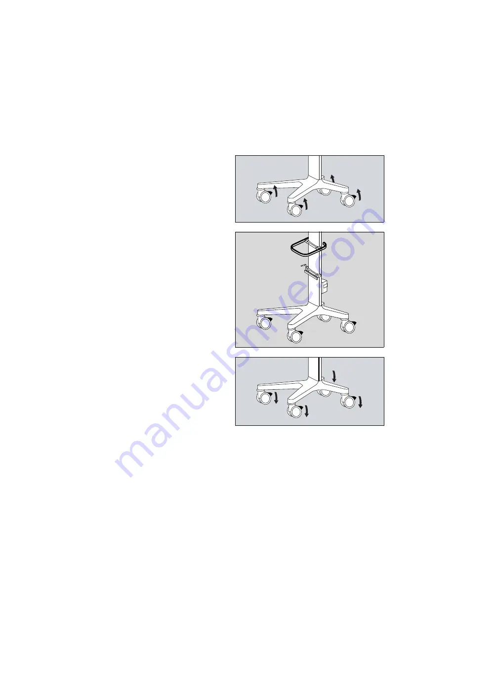 Siemens Drager medical Carina Instructions For Use Manual Download Page 38