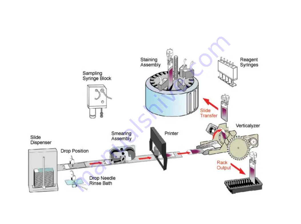 Siemens Healthineers ADVIA Quick Reference Manual Download Page 4