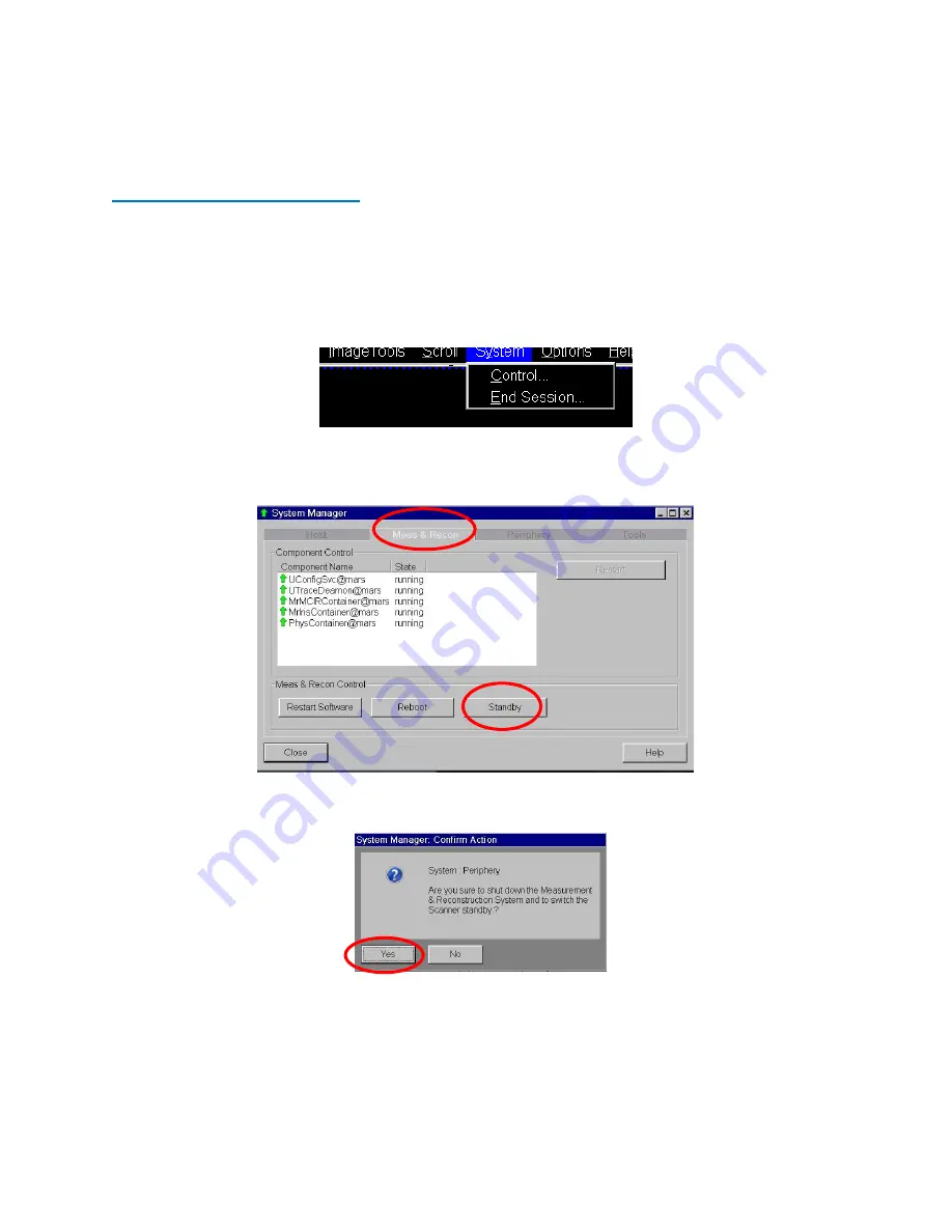 Siemens Prisma 3T User Manual Download Page 6