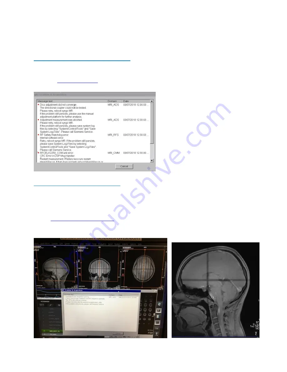 Siemens Prisma 3T User Manual Download Page 28