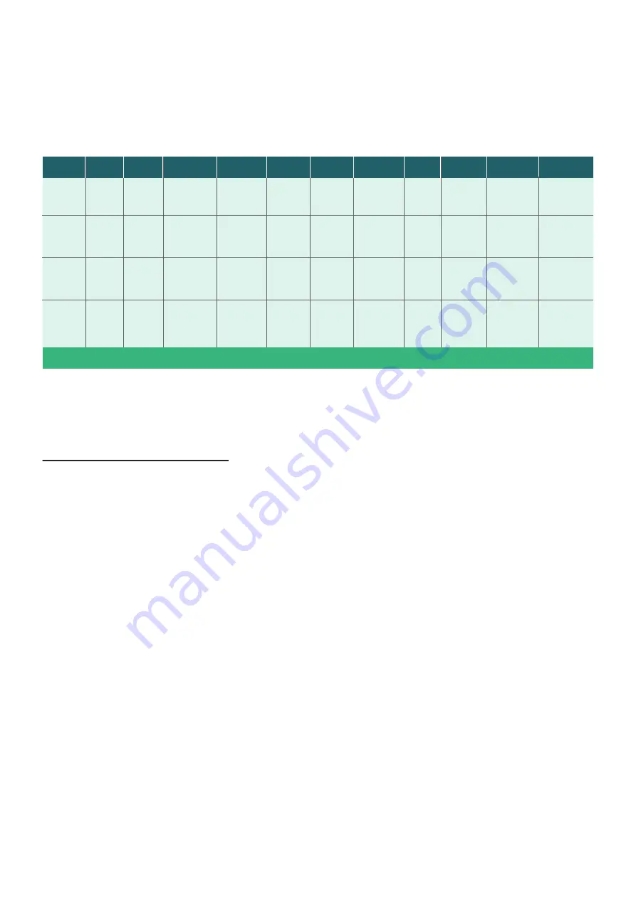 Siemens RAJA+ Installation, Maintenance & Troubleshooting Manual Download Page 20