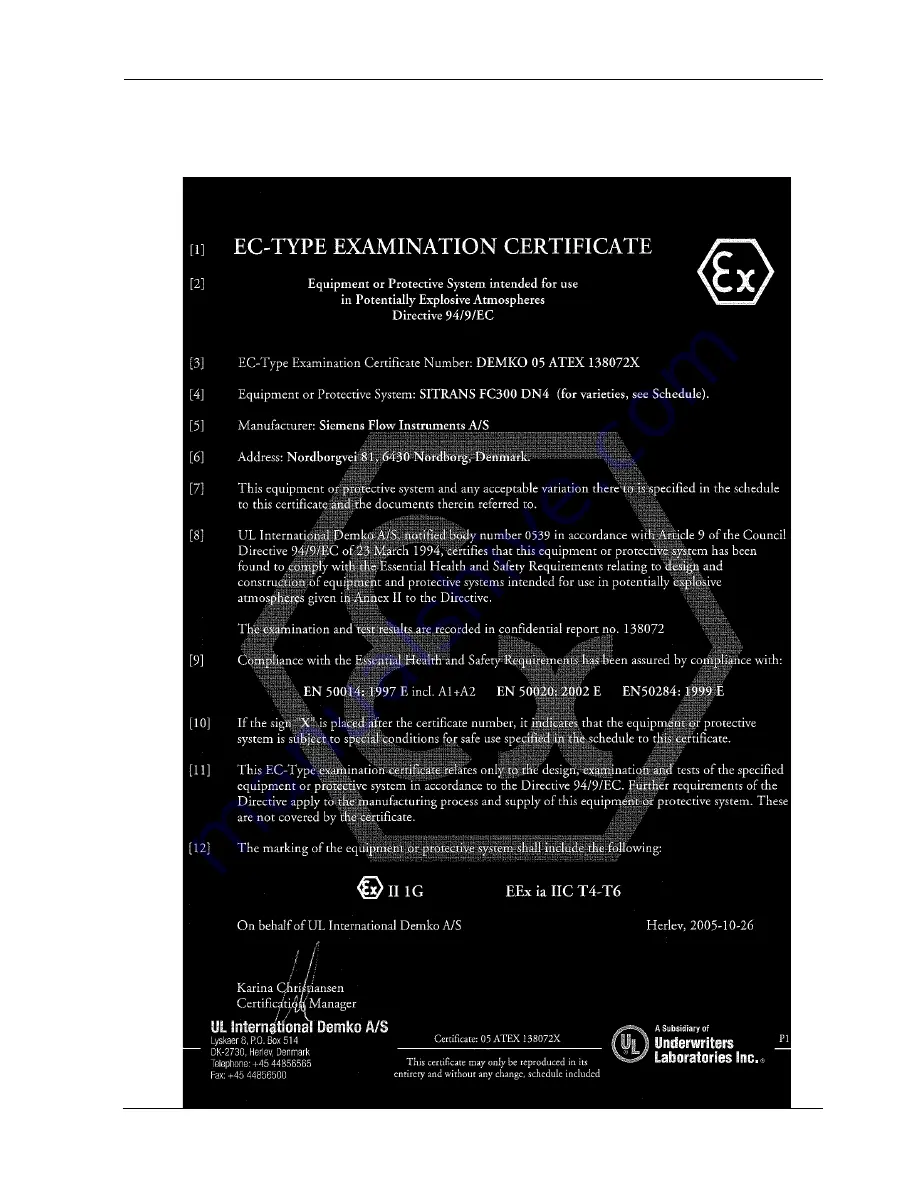 Siemens SITRANS F C MASSFLO Operating Instruction Download Page 31