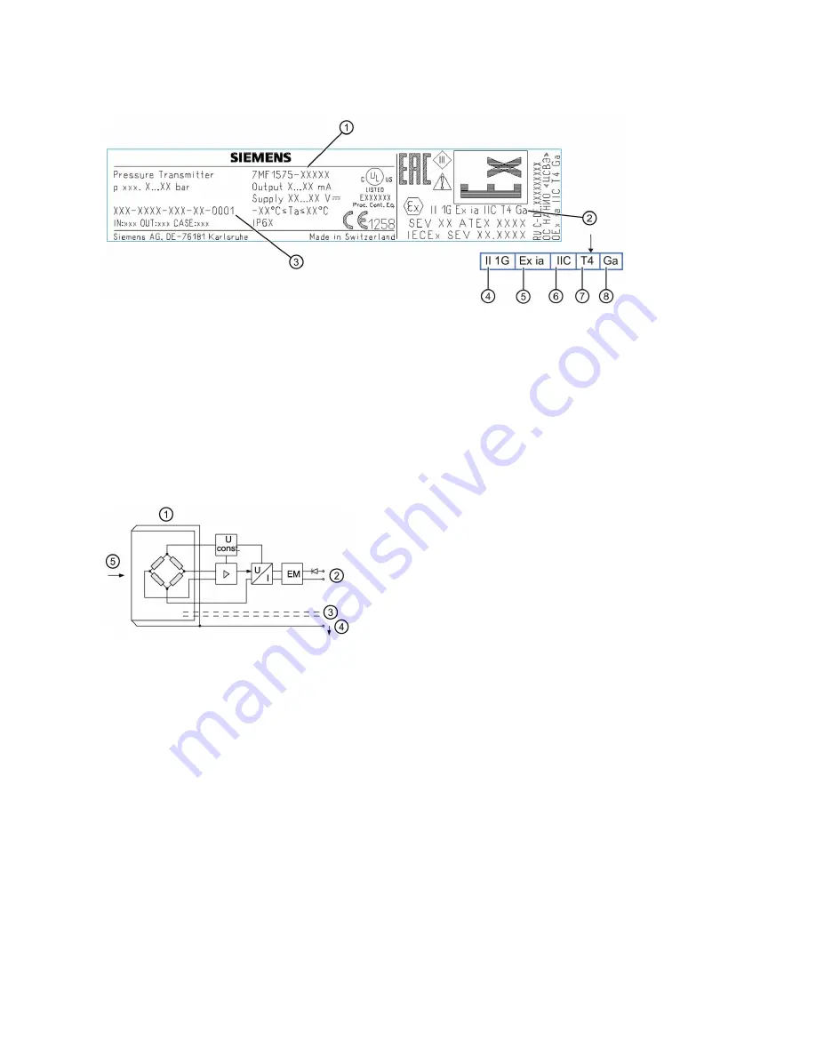 Siemens SITRANS LH300 Compact Operating Instructions Download Page 5