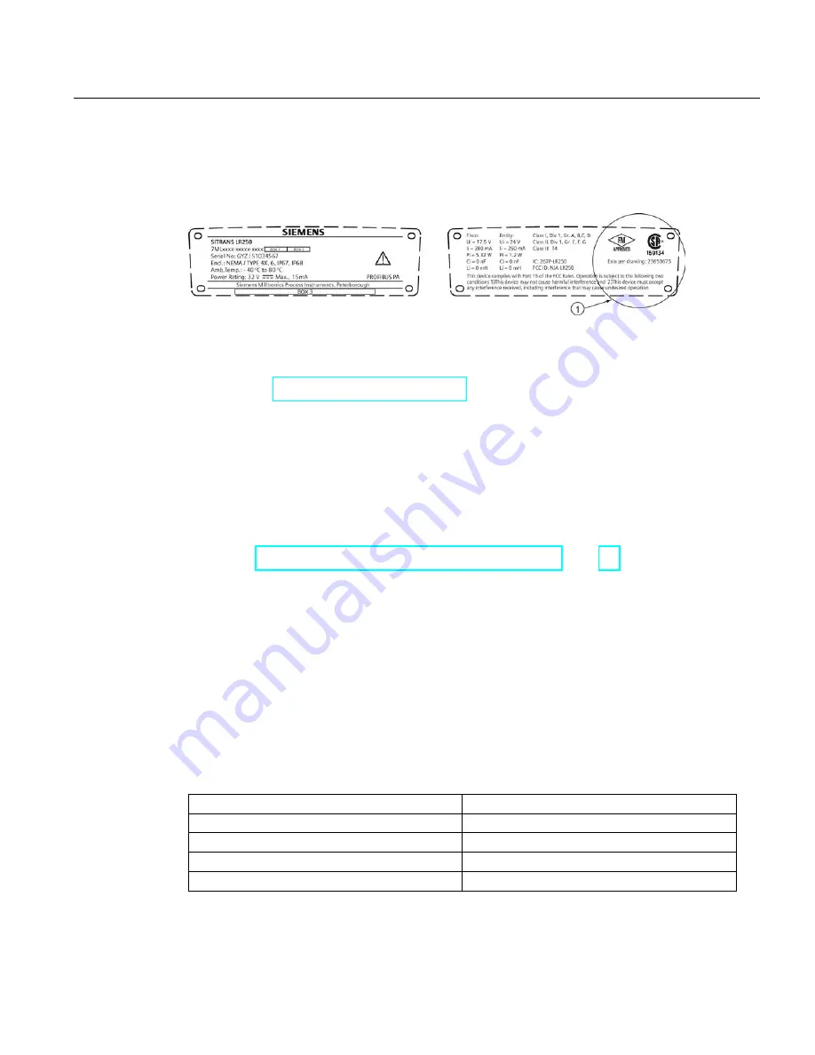 Siemens Sitrans LR250 Operating Instructions Manual Download Page 49