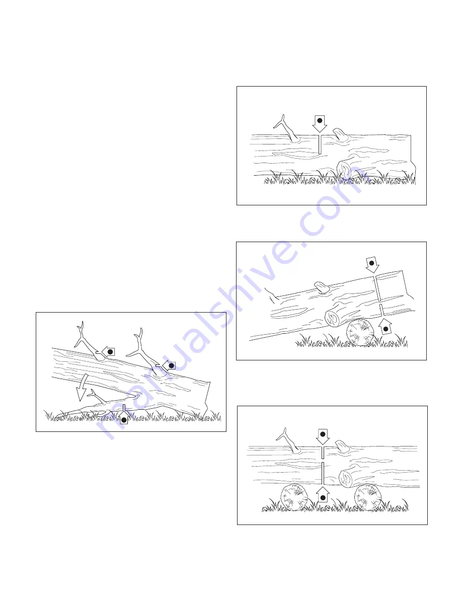 SNOWJOE Sunjoe iON16CS-RM Operator'S Manual Download Page 16