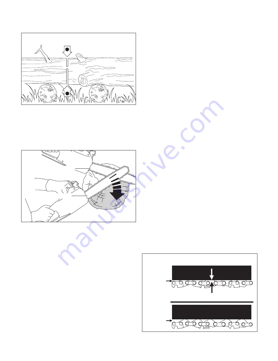 SNOWJOE sunjoe SWJ805E-RM Operator'S Manual Download Page 16