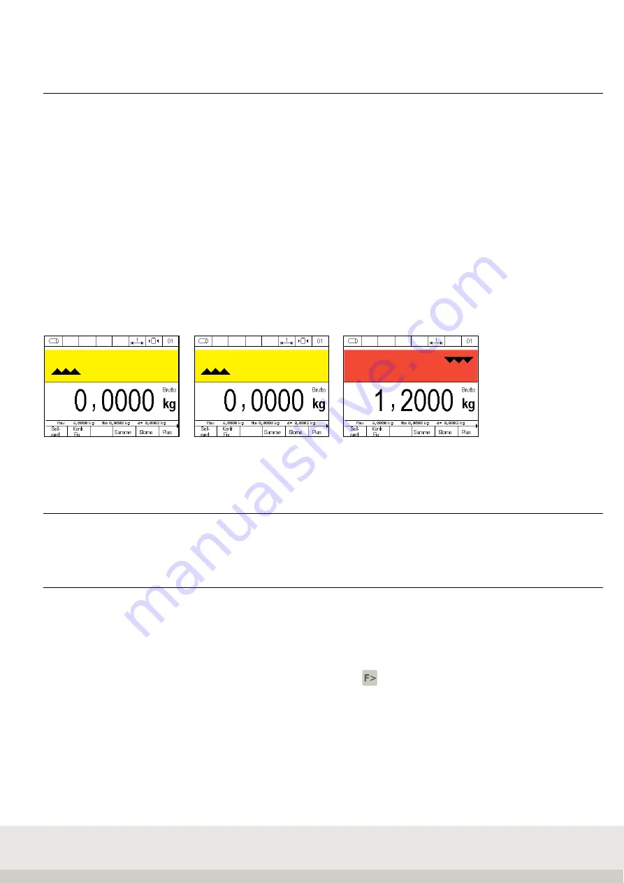 Soehnle Professional 3035 Скачать руководство пользователя страница 108