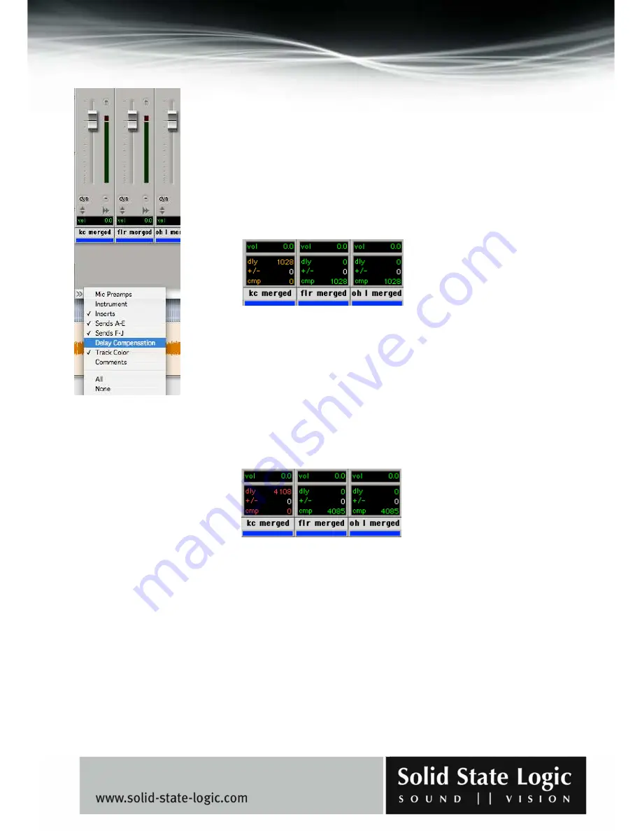 Solid State Logic Duende Скачать руководство пользователя страница 17