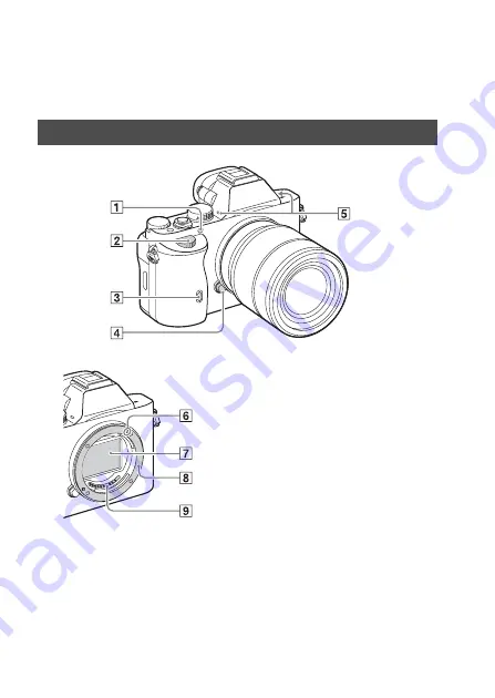 Sony A 7 R IV Скачать руководство пользователя страница 344