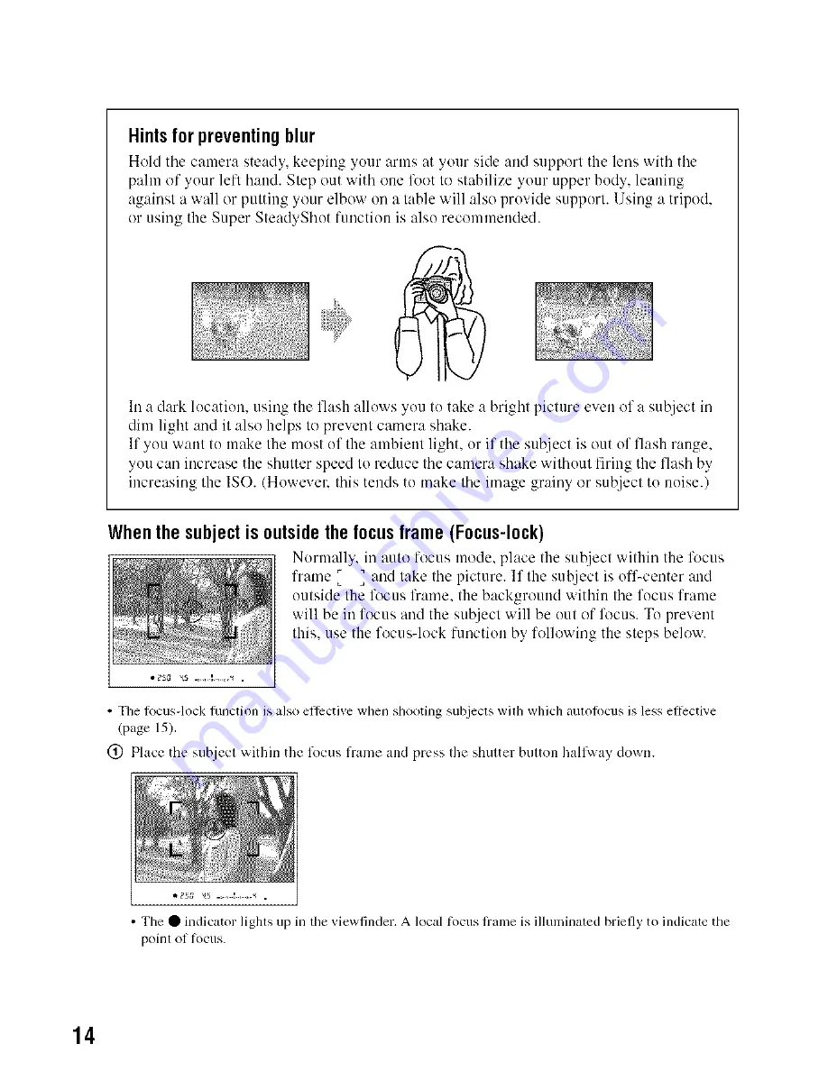 Sony Alpha 100 User'S Manual / Troubleshooting Download Page 14